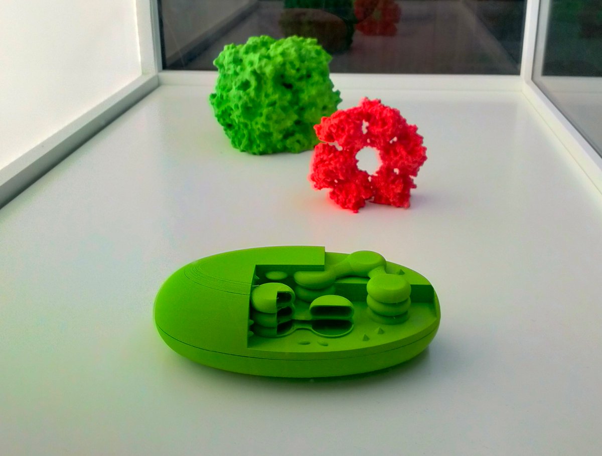 Tamara Hernandez-Verdeja (@tamara_hverdeja) on Twitter photo 4 days left to visit our our #FascinationOfPlantsDay exhibition at <a href="/LancasterUniLib/">Lancaster University Library</a> 🥦💪
<a href="/LancsUniLEC/">Lancaster Environment Centre</a>
@LancasterUniSciTech
<a href="/PlantDay18May/">Fascination of Plants Day</a>
#FoPD2024 #FoPD #Lancaster
With support from
<a href="/NewPhyt/">New Phytologist</a>
and <a href="/JXBot/">JXB @jxbotany.bsky.social</a> 4 days left to visit our our #FascinationOfPlantsDay exhibition at <a href="/LancasterUniLib/">Lancaster University Library</a> 🥦💪
<a href="/LancsUniLEC/">Lancaster Environment Centre</a>
@LancasterUniSciTech
<a href="/PlantDay18May/">Fascination of Plants Day</a>
#FoPD2024 #FoPD #Lancaster
With support from
<a href="/NewPhyt/">New Phytologist</a>
and <a href="/JXBot/">JXB @jxbotany.bsky.social</a>
