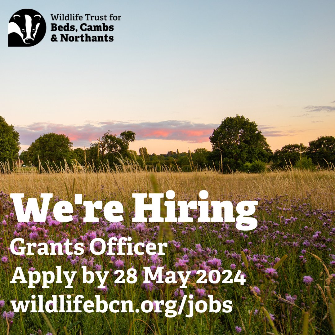 📢Are you looking for a new job? 🤩We have an exciting opportunity to help us fund our work protecting wildlife as our Grants Officer. ❓If you are creative & have a desire to make a difference, then please find out more and apply here wildlifebcn.org/jobs