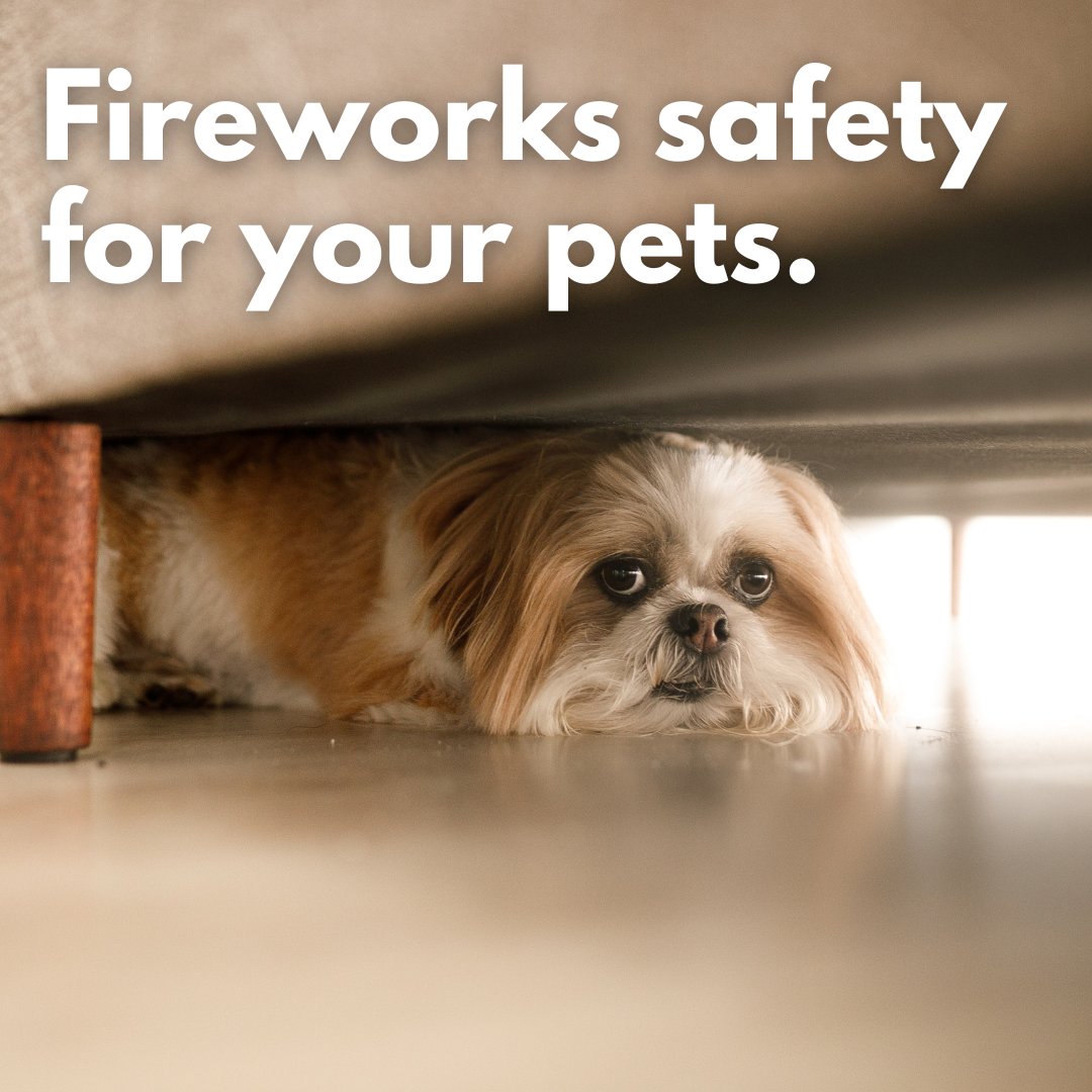 Are your pets scared of fireworks? Here are some tips🎇⬇️ ✔️Stay indoors (close windows and doors) ✔️Turn on the radio/TV ✔️Place blankets over crates to muffle loud noise ✔️Play to tire them out ✔️Distract your pet with new toys or treats