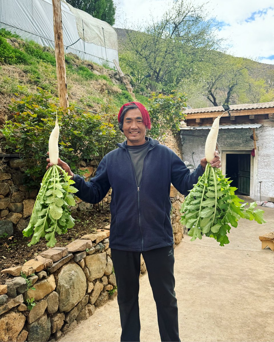 When you come for dinner tonight don’t forget to add a side of mooli pickle to your order. We ate SO MUCH of this amazing vegetable when we were in Tibet. We’d pluck it out the ground and shred it for a salad side. Enjoy with a cool Buddha Beer at one of our sunny outside tables.