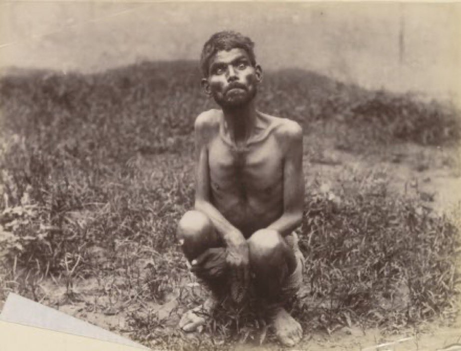 Dina Sanichar was a feral boy. A group of hunters discovered him among wolves in a cave in Bulandshahr, Uttar Pradesh, India in February 1867, at the age of around six. 

The hunters decided to take the child away, smoking the pack out of the cave and killing the mother wolf in