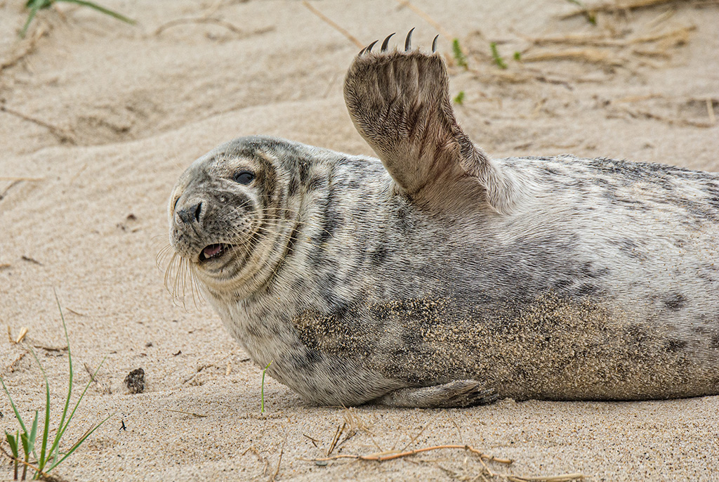 Oh hello there, weekend! Did you vote for Adventure Canada yet today for USA Today's Best Adventure Tour Operator? Please click the link below and take a moment to vote for us, no registration necessary! advcan.pulse.ly/xhucp1ujy6 📸: @dminty