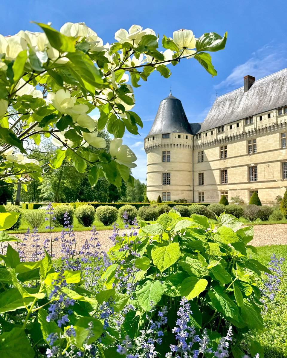 Le château de l'Islette niché au cœur de la Touraine 🌿 La douceur du printemps s'installe dans le château des amours de Rodin et Claudel 🥰 Crédit photo 📸 : ©chateaudelislette (sur Instagram)