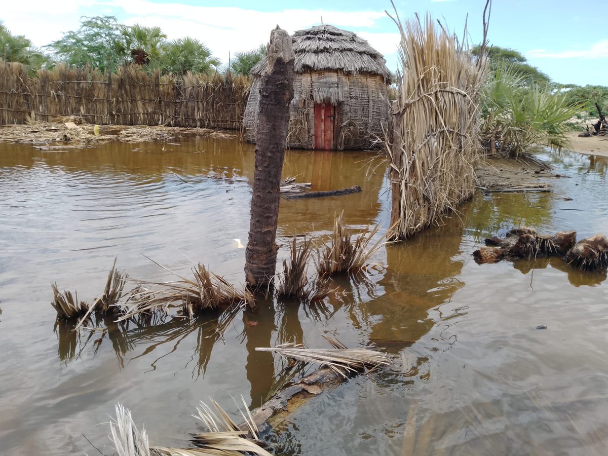 Lake Turkana's water levels are rising along its western shores – particularly affecting Kalokol ward where hundreds have been displaced due to the escalating lake levels.