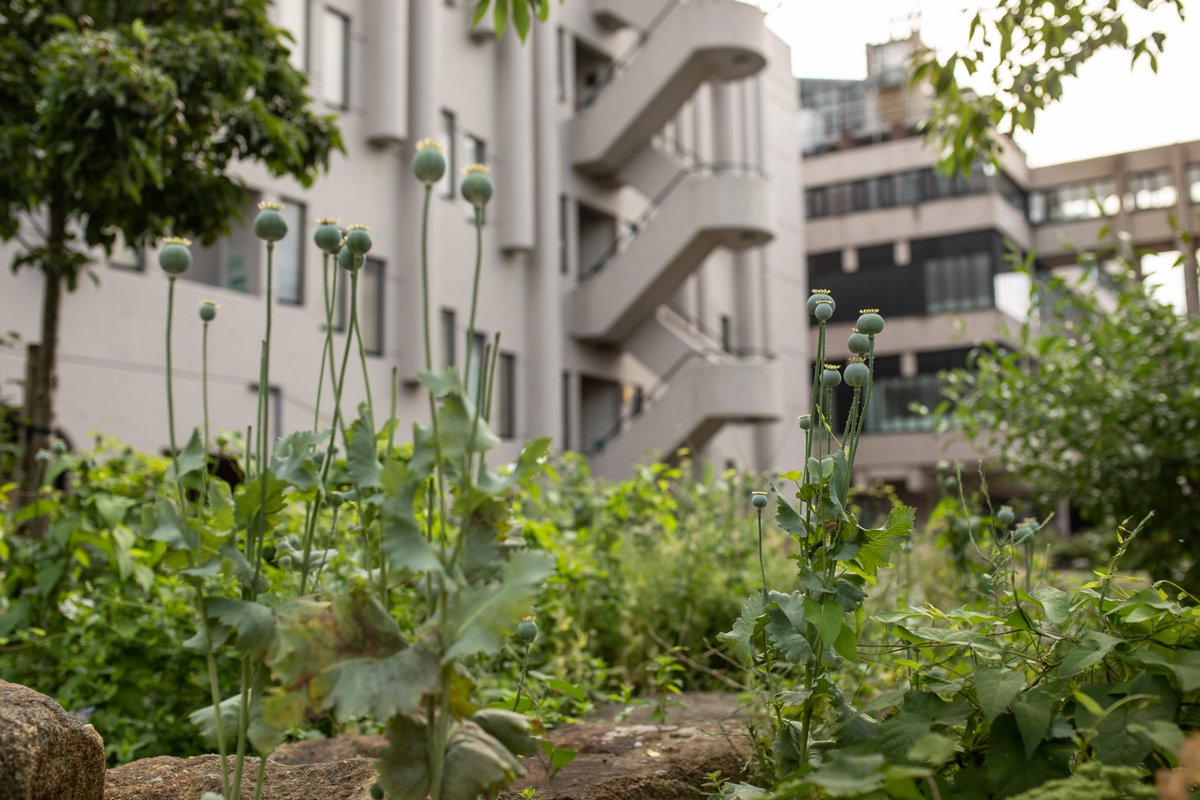 Have you ever felt worried about climate change or the future of the planet? 🌍 If so, you may have experienced #EcoAnxiety, and it’s a lot more common than you might think. Here are a few ways we can address it 👇 #MentalHealthAwarenessWeek