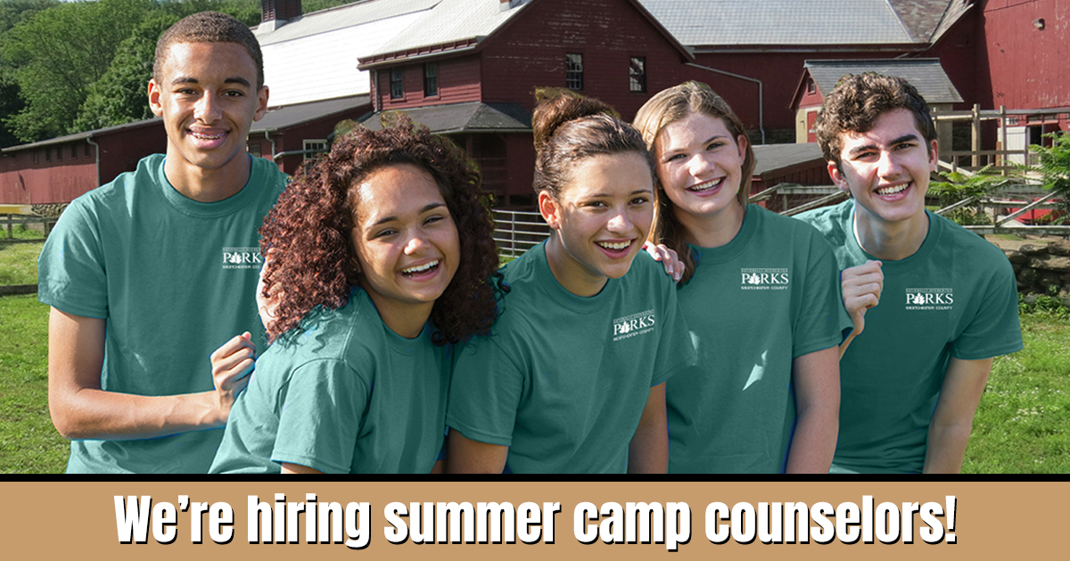 We're hiring! Work as a camp counselor at one of our Summer Nature Camps: 🌳 Cranberry, North White Plains 🌳 Read Sanctuary, Rye 🌳 Lenoir, Yonkers 🌳 Marshlands, Rye 🌳 Trailside Nature Museum, Cross River Job description ➡️ ow.ly/986L50RIRmR