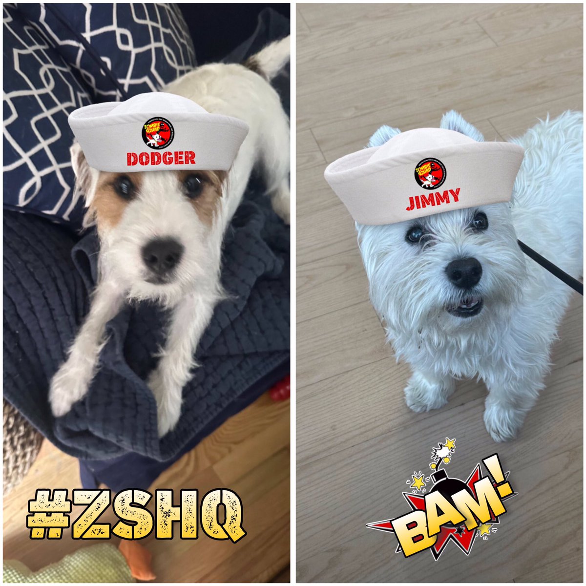 08:00 Hours. “Workmen” on the way to our house. We aren’t so sure. Zombs come in many disguises. We are set up to watch EVERY move to make sure none of them “turn”. More later. Stay safe troops! Cpls. Jimmy & Dodger, ever alert! Raaaaaa! #ZSHQ