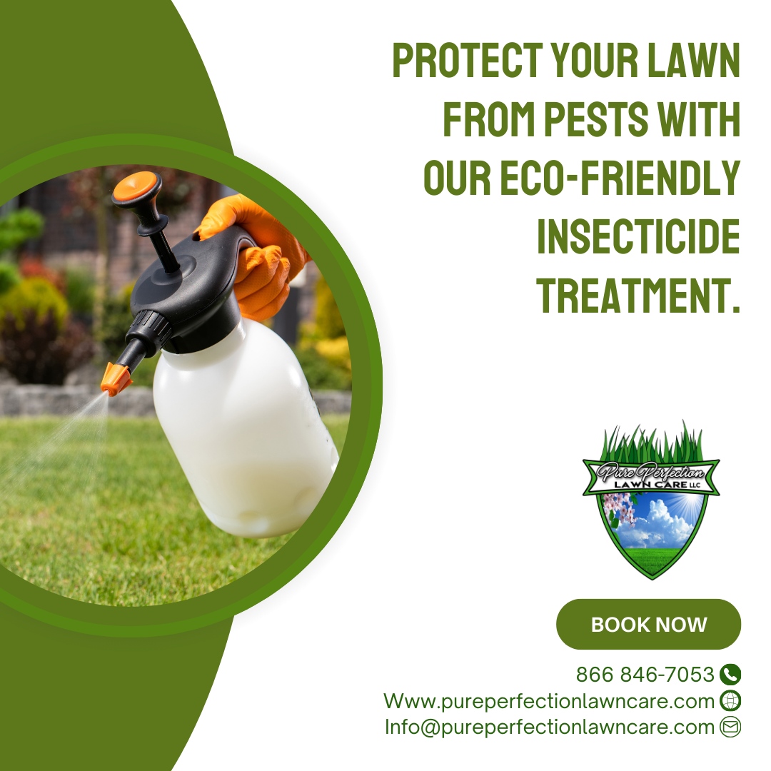 Contact us to schedule your treatment! 🐜 Let's keep your lawn pest-free and thriving!

🌐 pureperfectionlawncare.com
📞 866 846-7053
📧 Info@pureperfectionlawncare.com

#PurePerfectionLawnCare #lawngoals #outdoorliving #gardens #outdoors #landscapephotography #plants