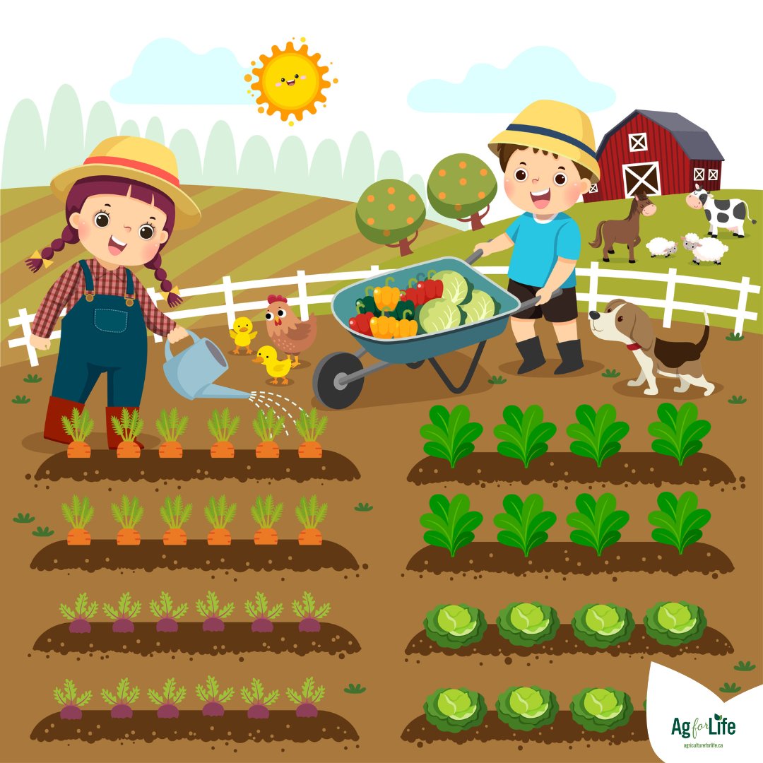 Our Junior Garden Club has started! Have you registered your kids yet? Sign up today at agricultureforlife.ca/juniorgardencl… and watch them blossom!