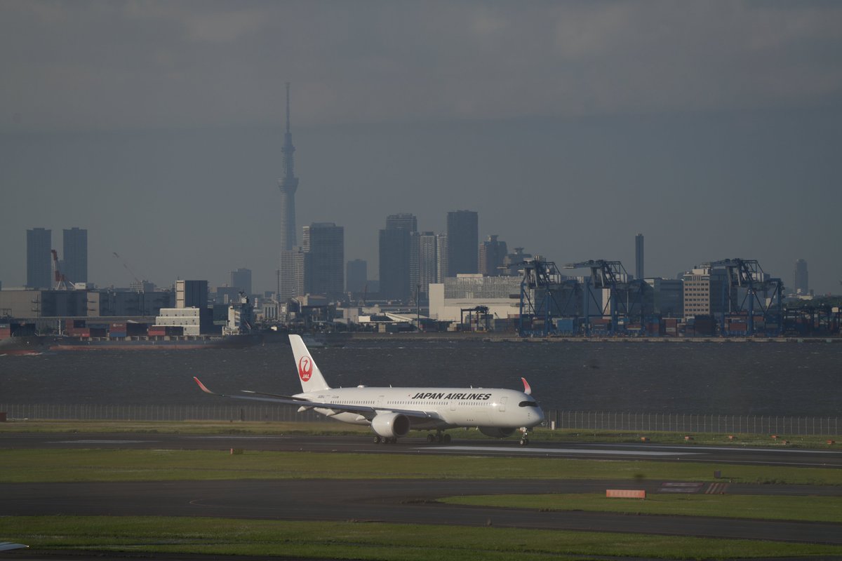 Cleared for Takeoff😎
JL523 新千歳行き
Airbus A350-900
JA08XJ

#羽田空港 #HND #RJTT #JAL #日本航空 #Airbus #A350 #エアバス #空活 #カメラ #カメラ初心者 #Sonyα7 #ソニー #JA08XJ