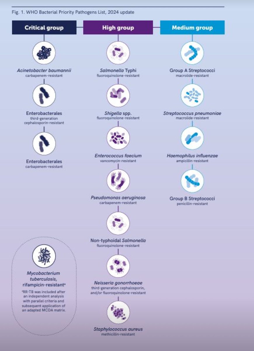 💥💥Updating the #AMR priority groups  of pathogens by <a href="/WHO/">World Health Organization (WHO)</a> 

🔗 Please read the full report here: lnkd.in/dJSKZNfb