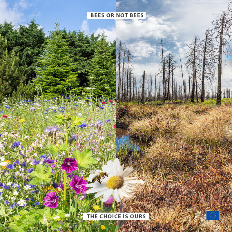 European Commission tweet media