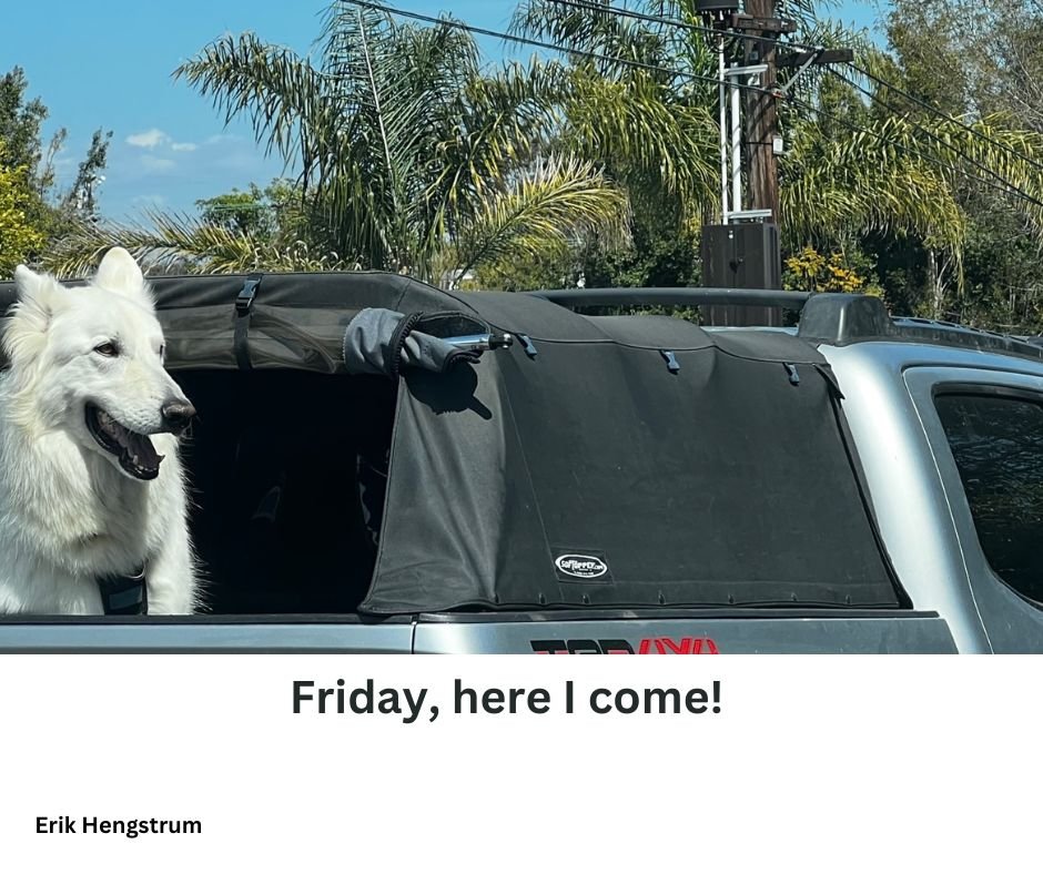 AuthorErik's tweet image. #fridayflash #FridayFreeForAll #puppy