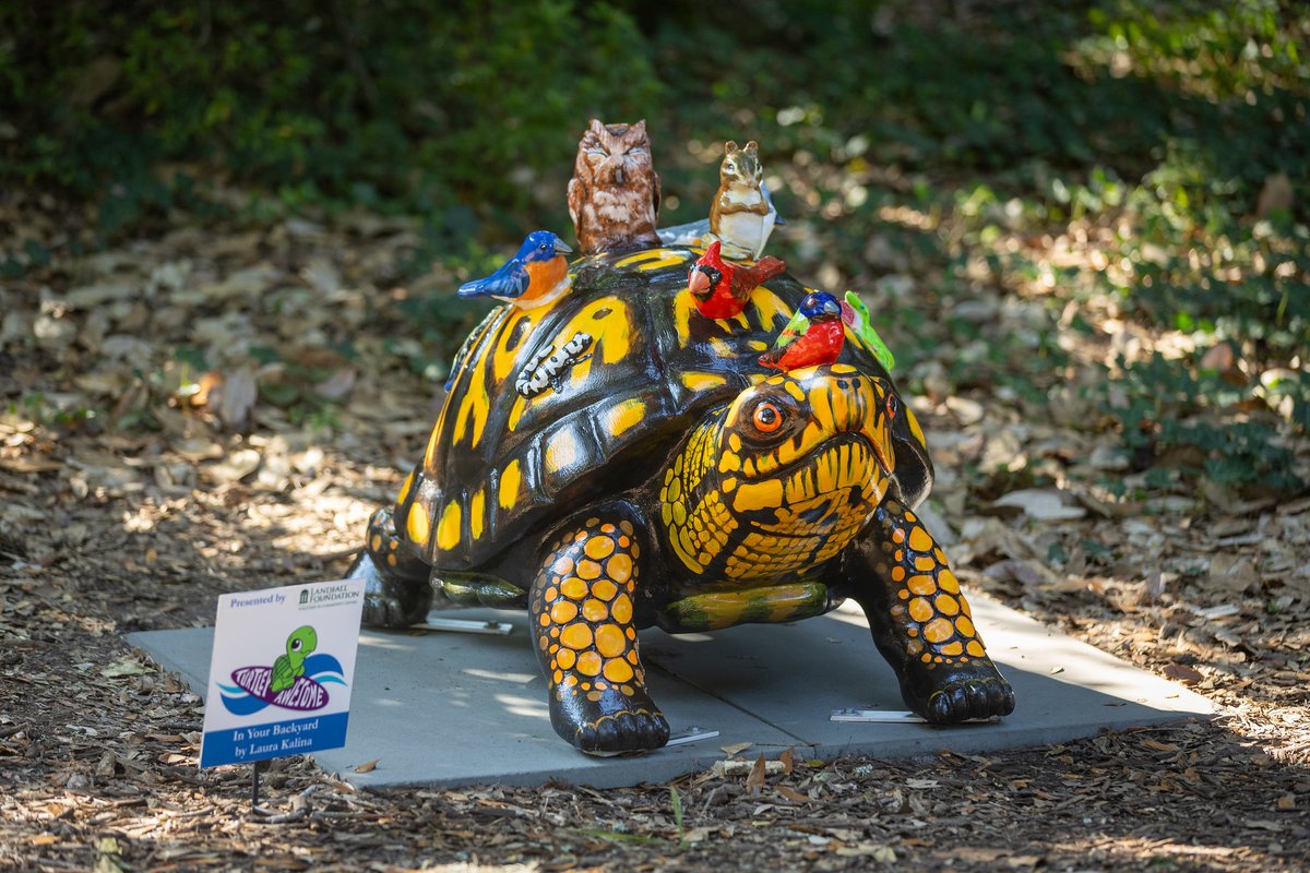 The #NHCgov website is temporarily down. We appreciate your patience as we work with our vendor to resolve the issue. In the meantime, please enjoy this terrapin from Airlie Gardens' art exhibit 'Turtley Awesome' for a moment of zen. See them all: loom.ly/JM3ZTlc