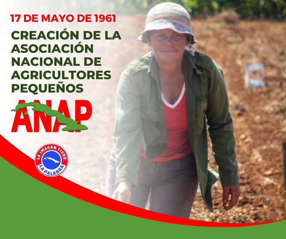 Un día como hoy los trabajadores del campo se convirtieron en dueños de parcelas, y recibieron otros beneficios que hasta ese momento eran vedados para ellos como el acceso a la salud, educación y vivienda. #Cuba