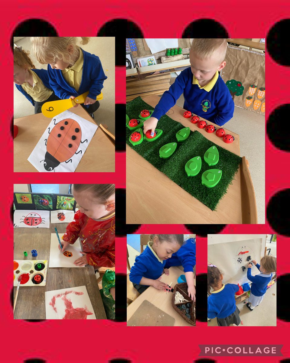 We found a ladybird amongst the rhubarb. We watched the ladybird for a while and how it flew from our finger to the leaves. We were inspired by the ladybird visitor and painted our own, independently getting our own paints to create symmetrical ladybird spots. @Blackwood_PS