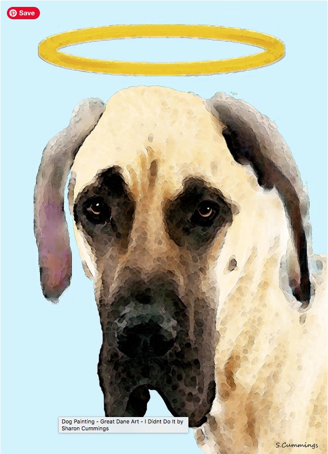 I Didn't Do It HERE: fineartamerica.com/featured/great… #dog #dogs #doglover #doglovers #greatdane #danes #heaven #heavenly #angel #woof #puppy #puppies #puppylove #buyINTOART #FillThatEmptyWall #cute #fun #funny #humor