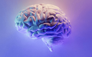 Latest <a href="/BristolUni/">University of Bristol</a> BMERG blog is out today and it's a fantastic exploration on neuroeducation by Dr Fiona Holmes, read more at bmerg.blogs.bristol.ac.uk/2024/05/17/hot… <a href="/BrisHealthSci/">Health Sciences at the University of Bristol</a> <a href="/TLHPBristol/">TLHP Bristol</a> #MedEd #Neuroscience
