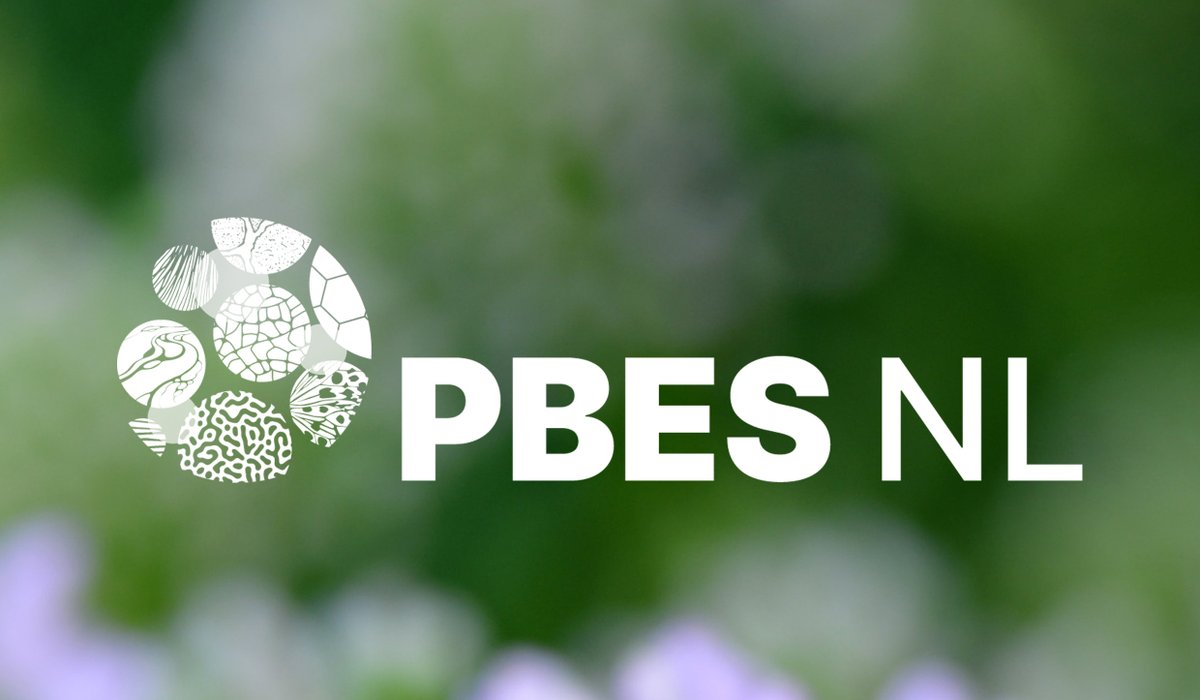 🌍Experts based in the Netherlands, we need YOU! Join our #expertpanel for the review of the @IPBES  assessment on #Business & #Biodiversity.

First Meeting (including drinks):
📍 Naturalis, Leiden
🗓️ June 27, 15:00-16:45h

Interested? Contact us: biodiversiteit.org/contact/

#PBESNL