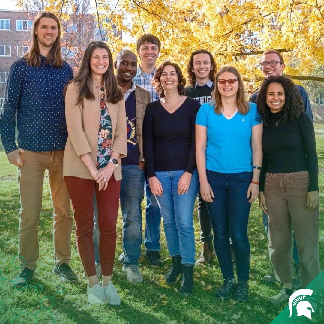 A new study from @EEB_MSU reviewed 100 years of ecology research and found statistical models are getting more sophisticated, helping us understand everything from tiny insects to entire ecosystems. Read or listen to the details: integrativebiology.natsci.msu.edu/news/052024-zi…