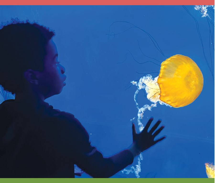 Getting ready for Summer Day Camp, Celebrating College Grads and Recognizing the Important Role of our Peace Moms. Read all about it in our latest newsletter:

conta.cc/3QOUeSi