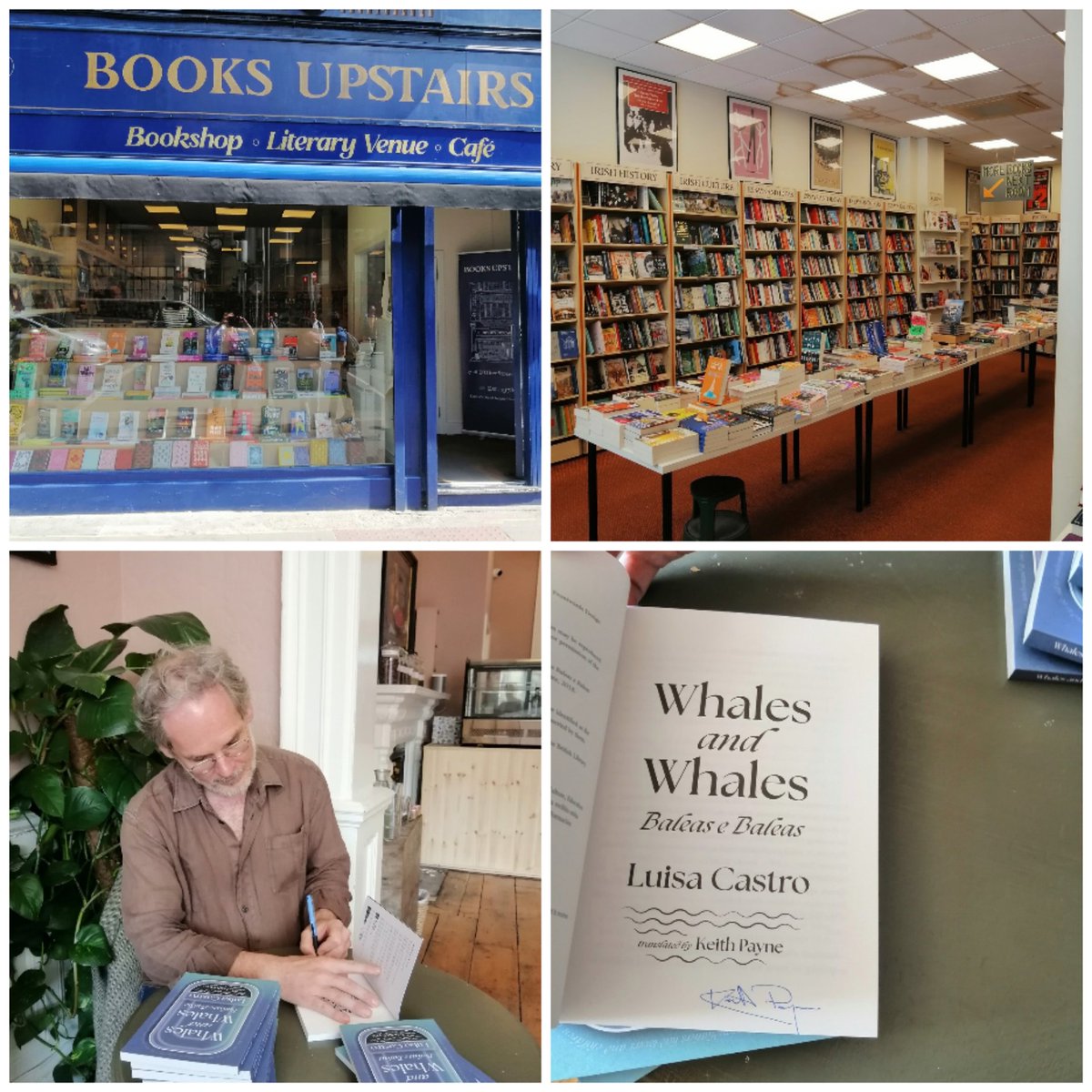 #KeithPayne hard at work signing copies of 'Whales and Whales' by #LuisaCastro that he has seamlessly translated into English. Thanks to Aisling and Louisa in @booksupstairs for their warm welcome. Pick up your signed copy and while your there, enjoy the cafe upstairs.