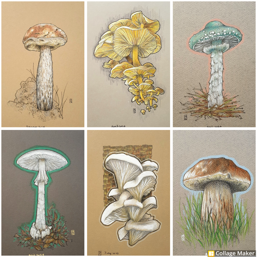 The fantastical world of mushrooms! 
I have all of these mushroom drawings and more available in my Etsy shop. All originals for just £35 each...
etsy.com/shop/TheWeeOwl…
#OriginalArt #drawing #PenAndInk #ColourPencil 
#artwork #art #TraditionalArt #Mushrooms #Fungi #FungiFriday
