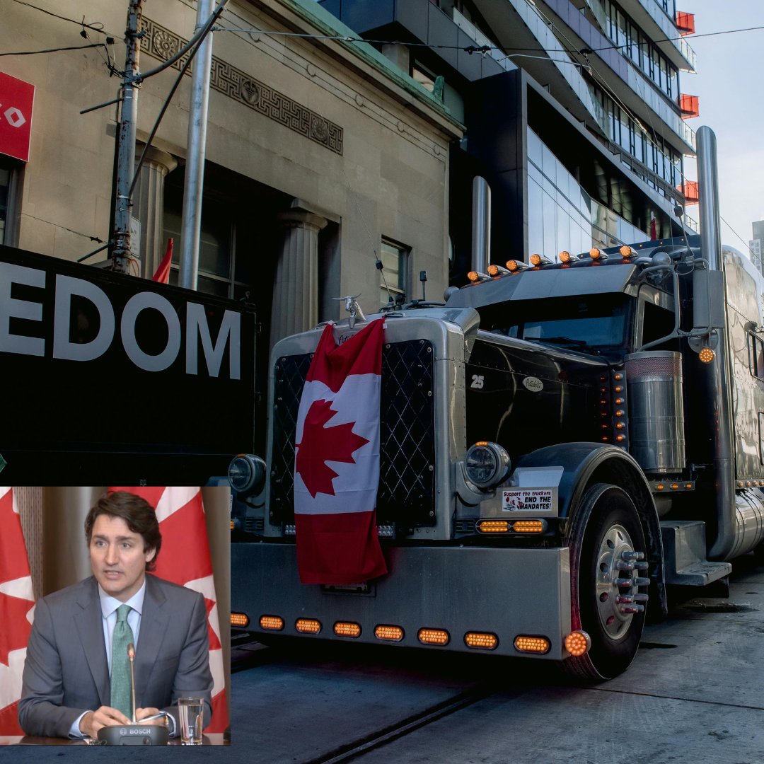 Since the Trudeau government turned on its citizens in February 2022, invoking the War Measures Act (Emergency Act) to quash a peaceful protest, Canadians have demanded to see the proof that Trudeau claimed to have supporting the stringent standards for this invocation, and