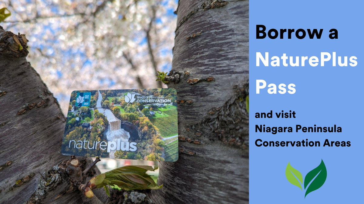 Did you know the Library has 8 @NPCA_Ontario NaturePlus passes for borrowing! These passes allow entry for one vehicle and its occupants to parks where fees apply. #GetOutdoors