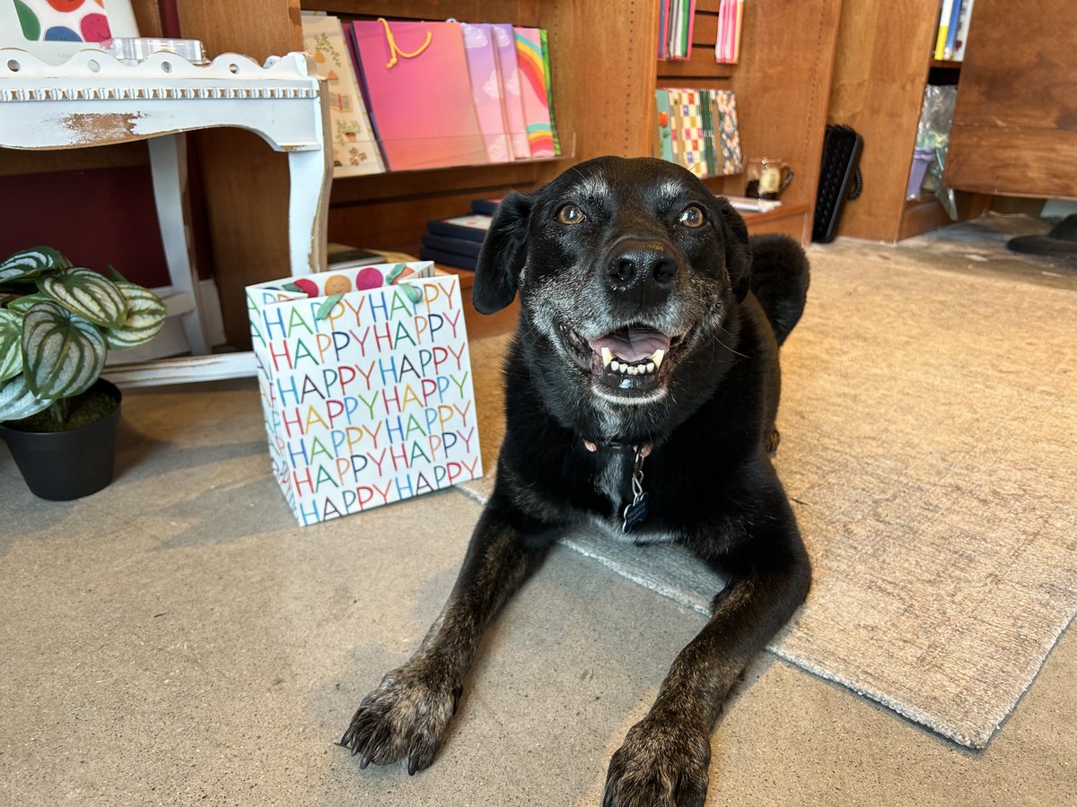Everyone wish a happy birthday to resident bookstore dog AND birthday girl Maggie! 🎉🐶♉ While she's not at the store today, you can catch her on Sunday to give her some pets and belly rubs! Can you guess how old she's turning??