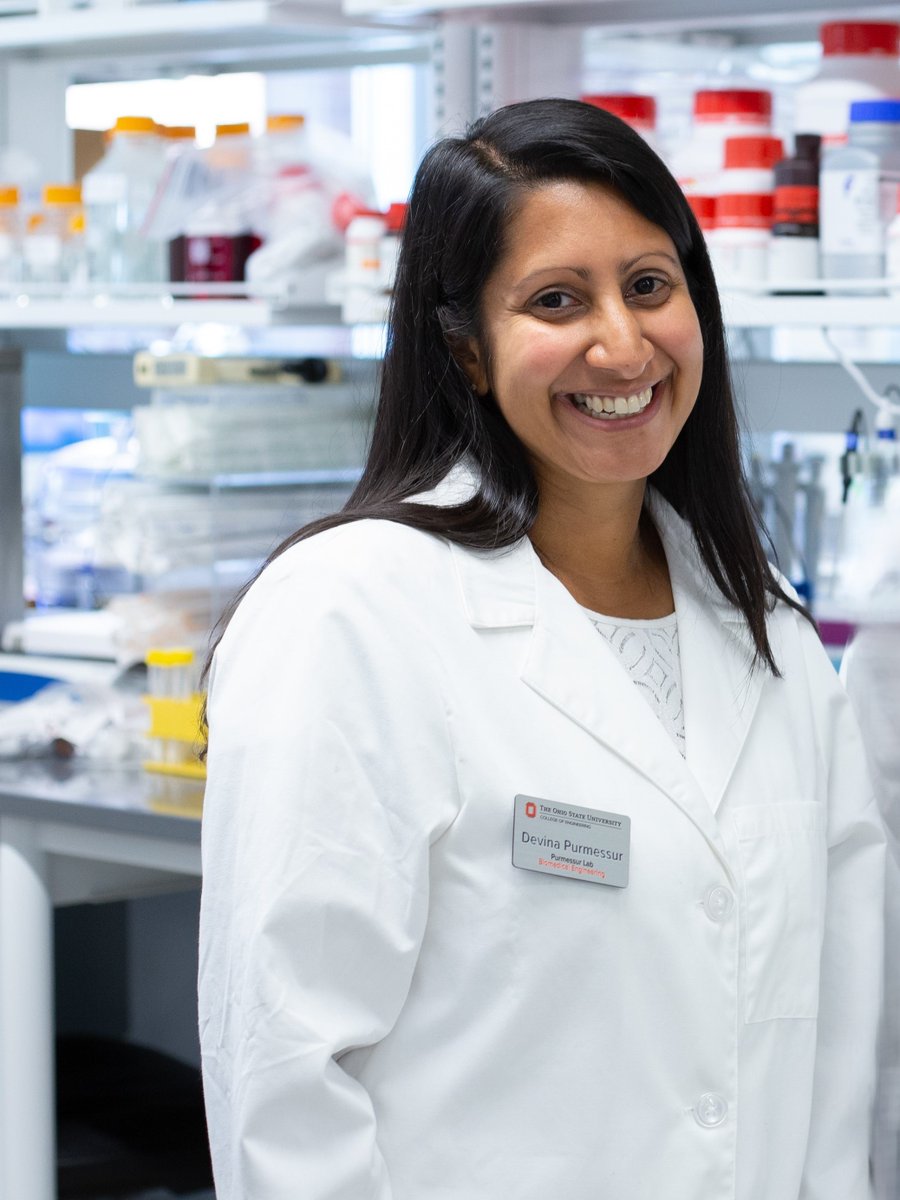 OhioStateBME's tweet image. Congratulations to @DevinaPurmessur (Walter) and her collaborators for earning a President's Research Excellence Catalyst Grant to determine the safety and efficacy of non-viral gene therapy for naturally occurring back pain

More here: go.osu.edu/CqsR