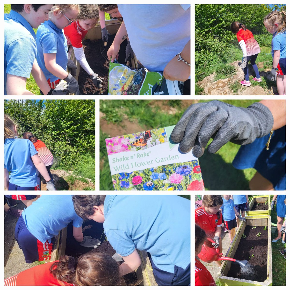Gardening Club @NsKillea was very productive this week. The perfect amount of sunshine and rain for the work involved @templemoretown @Bordbia @esbscienceblast @PDSTie @pickerpalsworld
