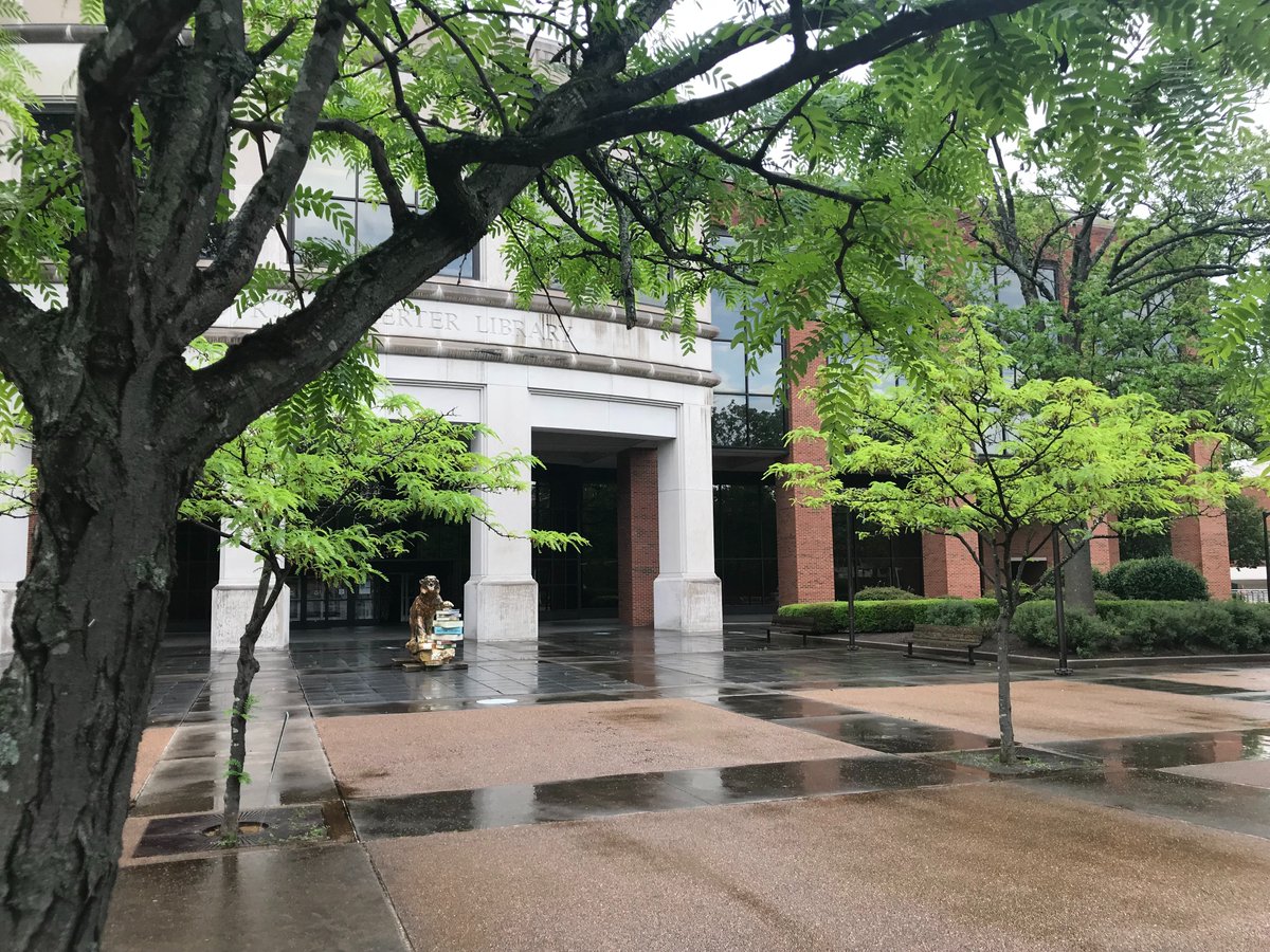Happy rainy Friday, Tigers! ☔️Come inside where it's dry to study, write, and research! We are open Monday through Friday from 8 a.m. to 5 p.m. through May 26. Longer hours return when @uofmemphis summer classes start on May 28. 🐯
#GoTigersGo
