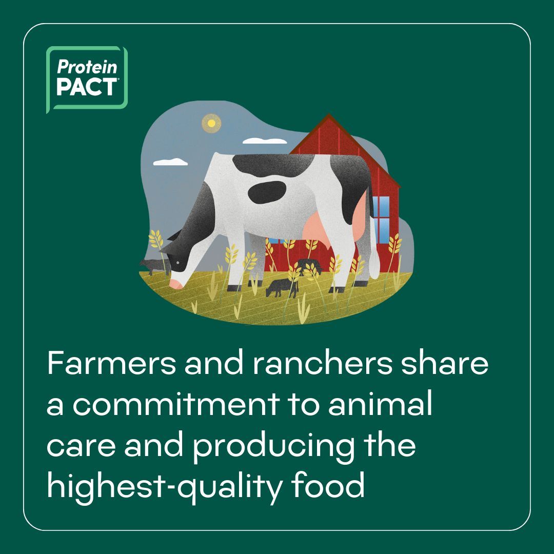 No matter their farm size or production practices, farmers and ranchers share a commitment to animal care and producing the highest-quality food. #ProteinPACT partner @AnimalAg shares standards for different animals: buff.ly/44rsGaI.