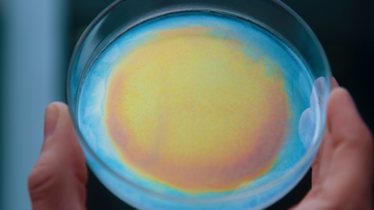 🚀 INVESTMENT ANNOUNCEMENT 🚀

Thrilled to announce our #investment into Radiant Matter, a cutting-edge startup developing high performance colour-effect materials from plant-based cellulose.

sustainableventures.co.uk/sustainable-st…