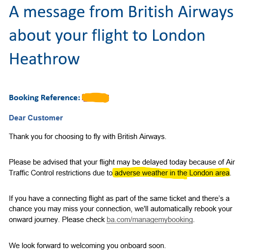 Theodore Bear tweet media