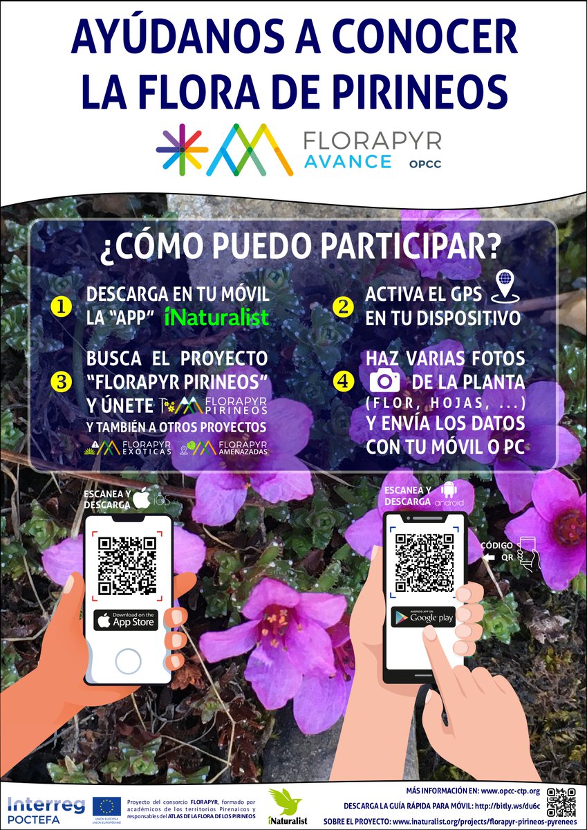 Ayúdanos a conocer las plantas del #Pirineo con el proyecto 𝙁𝙇𝙊𝙍𝘼𝙋𝙔𝙍. 🌸🌺 Descárgate la app iNaturalist , y sube tus fotos!👇👇 #CienciaCiudadana #plantas