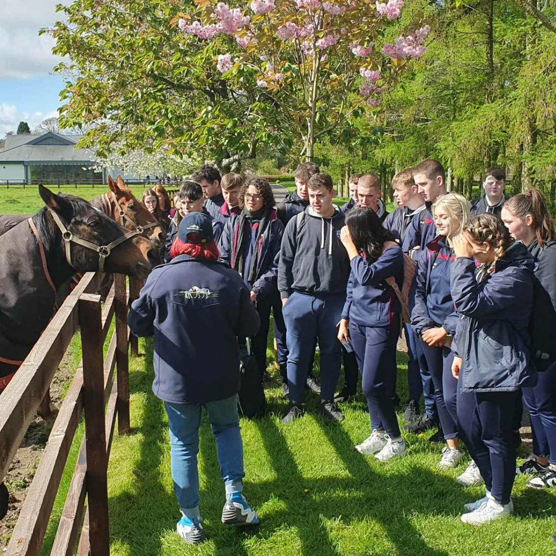 Ty classes took a trip to The National Stud in Kildare as part of the Equestrian Module. Students learned about the inside life of owning and running a stud and took a tour of the racehorse experience and Japanese gardens. #TYCDL #CDL