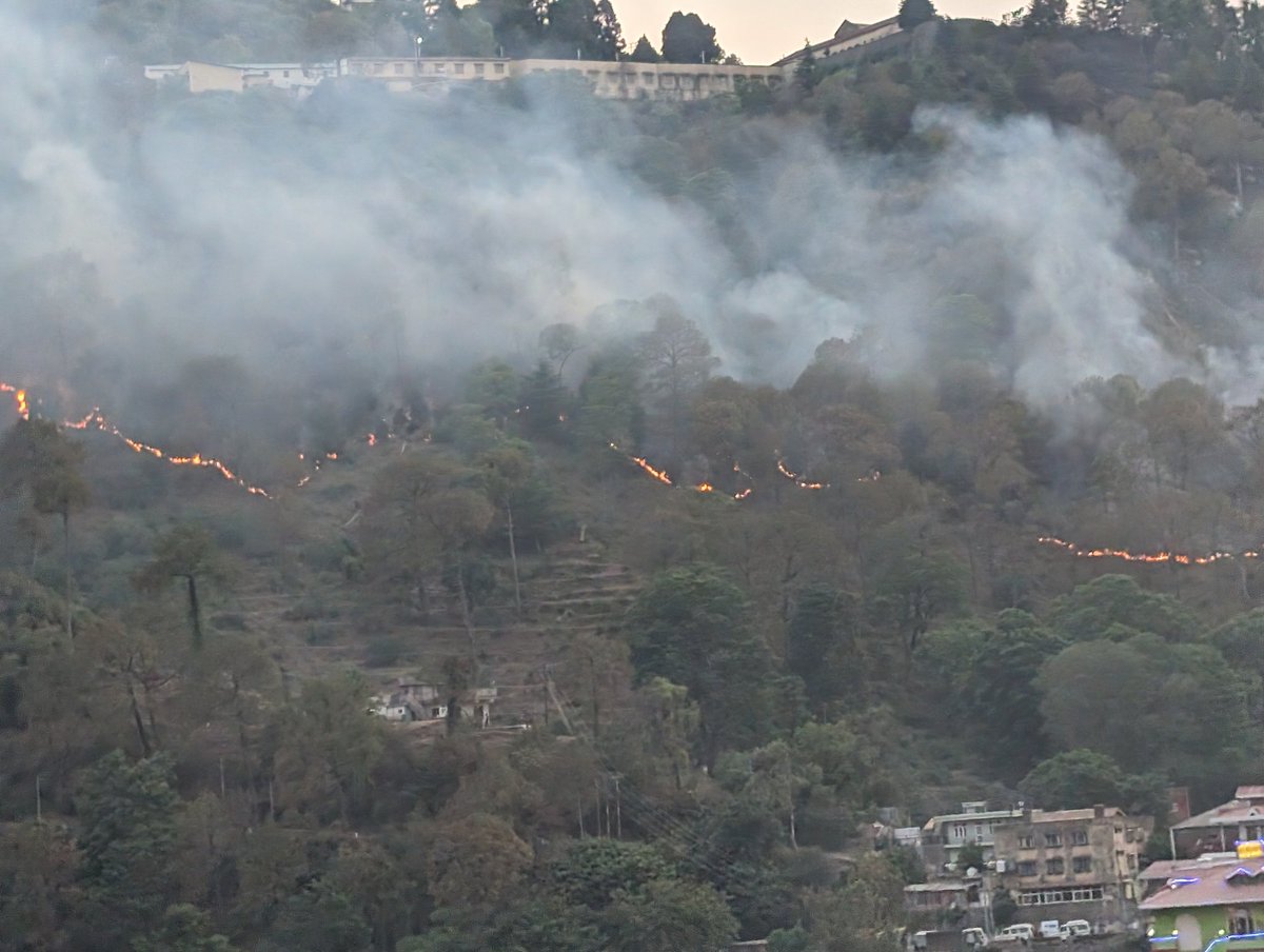 Forest fires are raging across Himachal Pradesh.

📍Solan

#HimachalFires #SaveOurForests