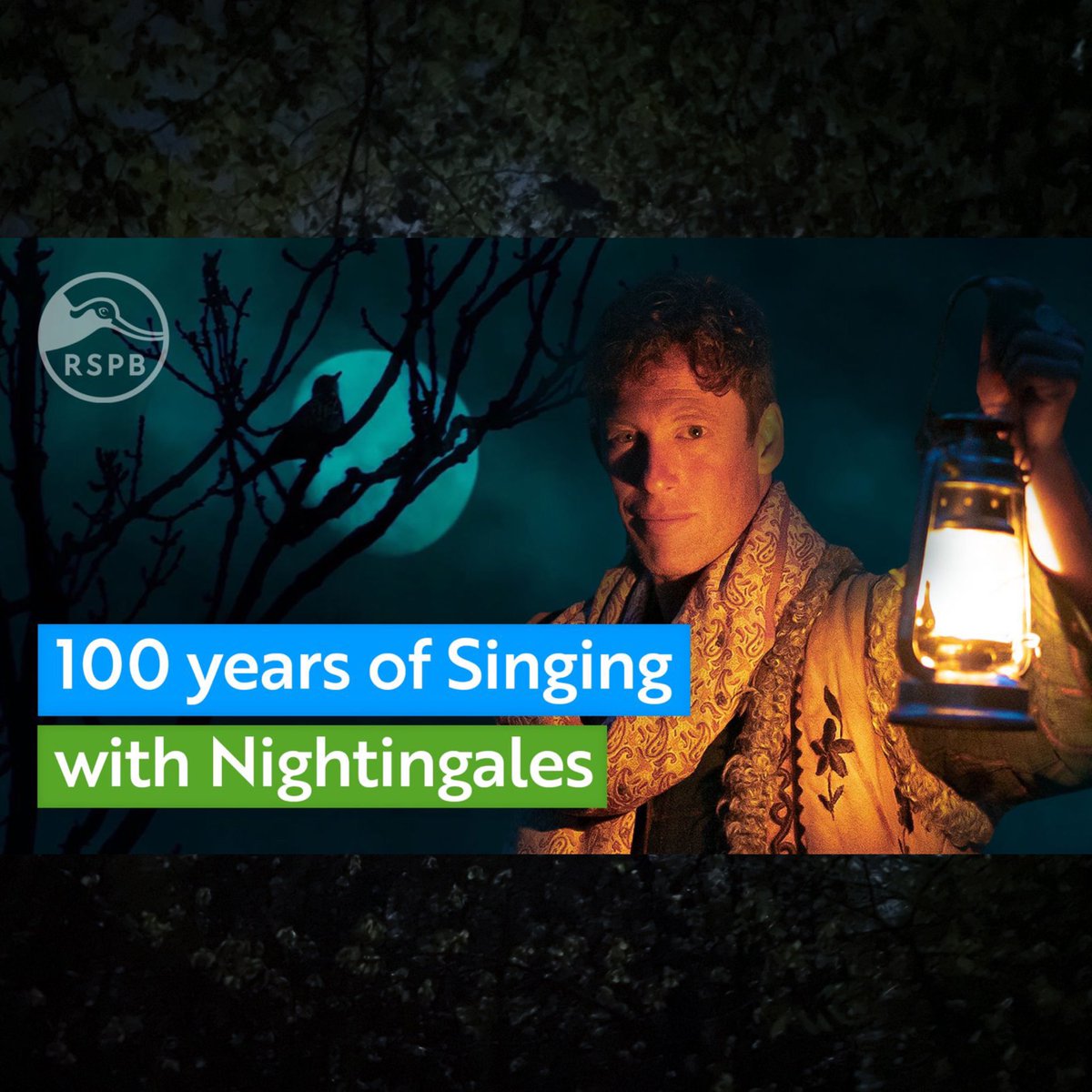 This Sunday May 19th at 11pm in collaboration with @Natures_Voice and @KneppWilding 11pm live on the RSPBs YouTube channel nightingales.live 100 years ago to the night the BBC aired their first ever outside broadcast – a nightingale in duet with a cellist.