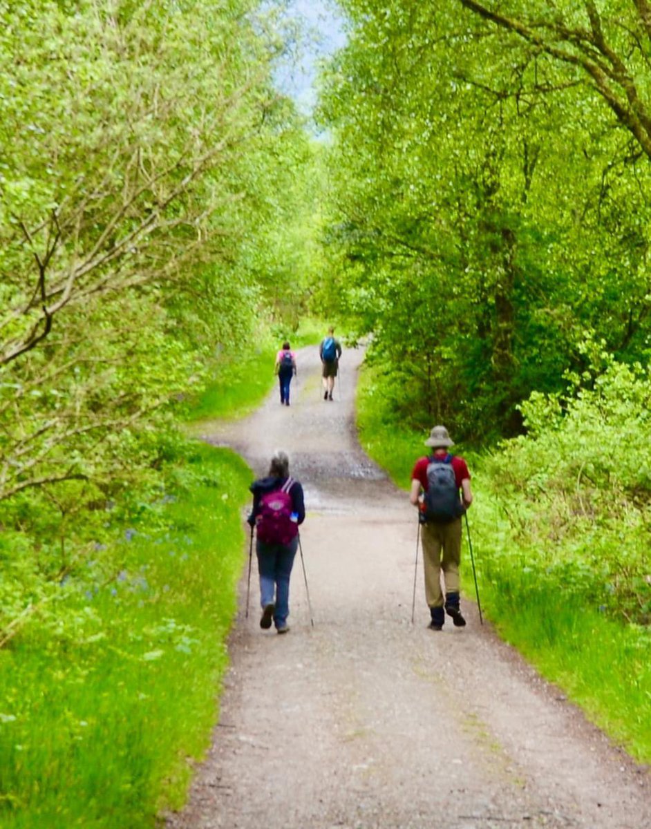 CruiseLochLomond tweet media