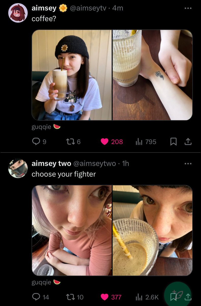 The duality of Aimsey