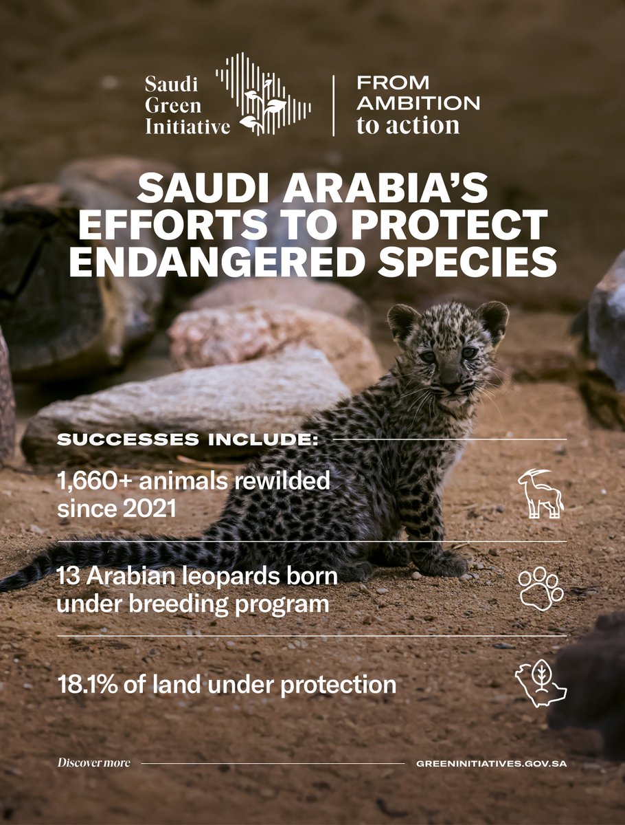 #EndangeredSpeciesDay is a reminder of current biodiversity challenges and the need to protect and preserve endangered animals. Saudi Arabia's commitment to protecting 30% of land and sea by 2030 will help ensure that wildlife can thrive across the Kingdom’s diverse ecosystems.