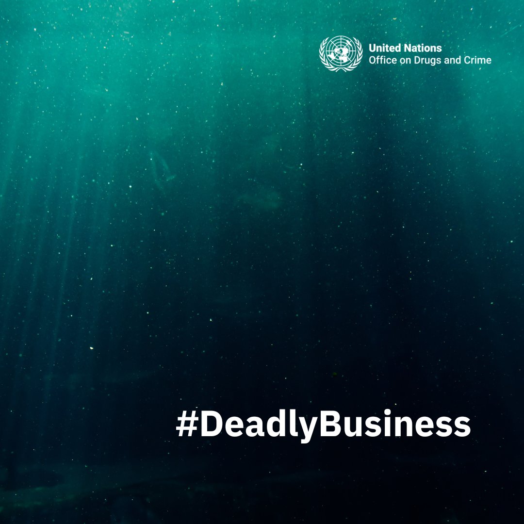Thousands of migrants embark on long journeys across the world in search of a better life. As legal migration options are limited, many resort to the services provided by smuggling networks. Migrant smuggling is a #DeadlyBusiness 🔗 bit.ly/UN_HTMSS