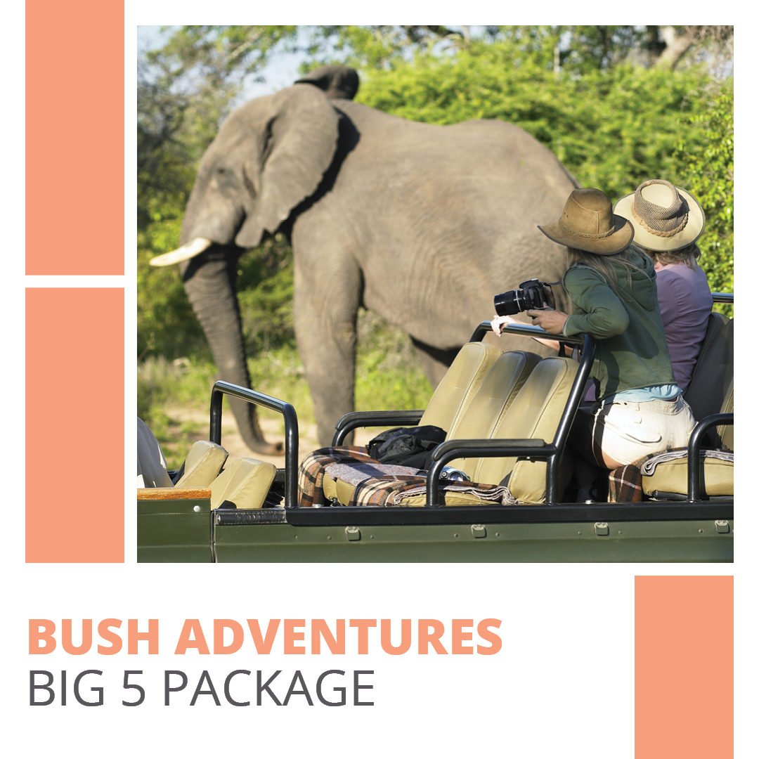🐘🌿 Enjoy the beauty of our wildlife with a thrilling Big 5 game drive in Hluhluwe-iMfolozi Park, guided nature walks, gourmet dinners, luxurious accommodation and more. Book our Big 5 Package today: bit.ly/3Ut2uZc #Big5Holidays #BushAdventures #ElephantCoast