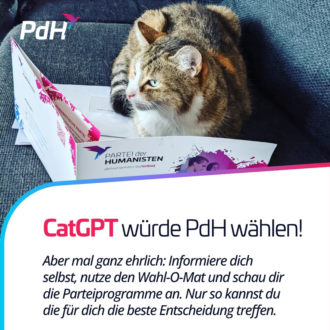CatGPT würde die PdH wählen (nachdem wir sie gefüttert haben).
