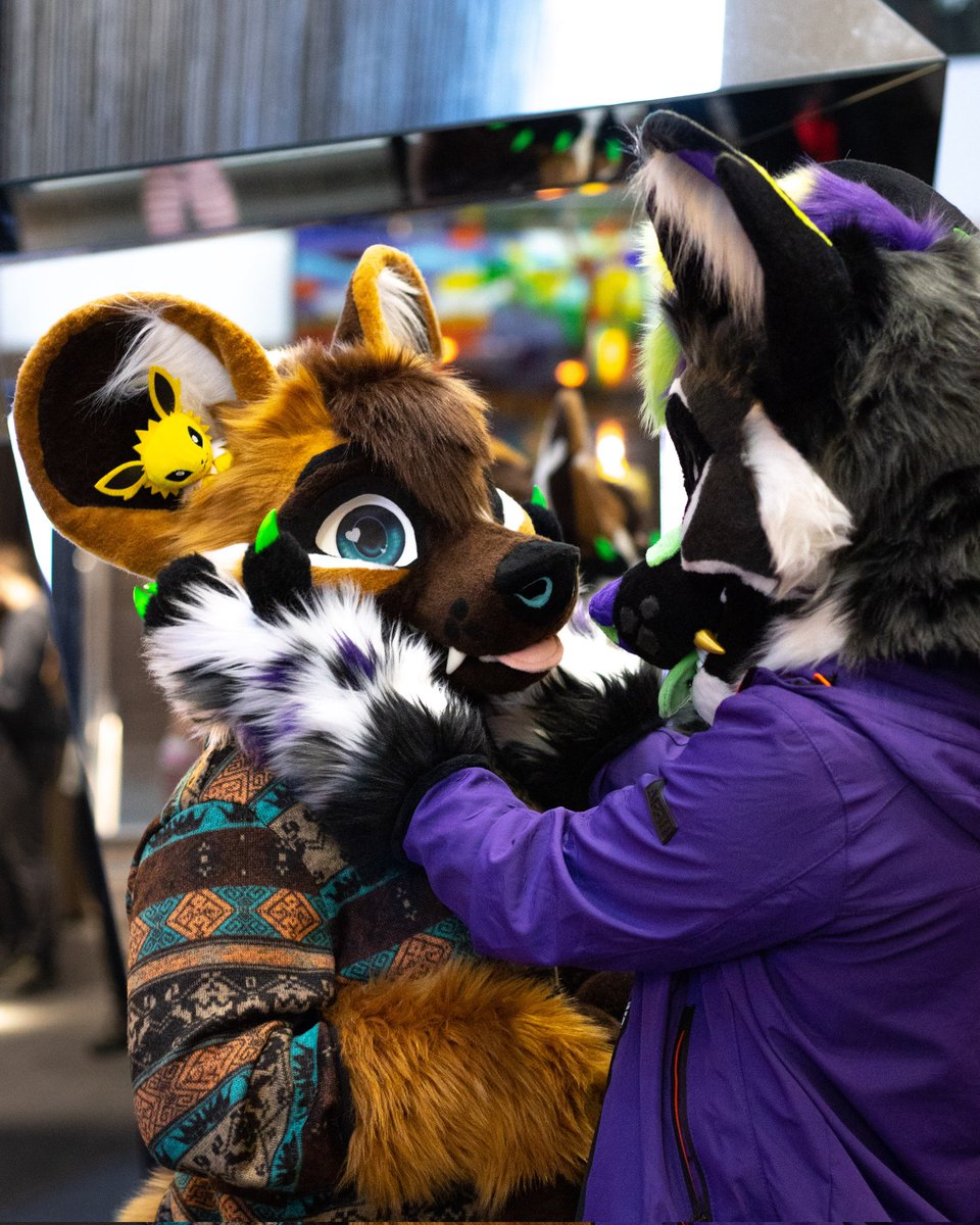 🧡 when he does this and watch me with the eyes full of love 😍
I can feel them even with the suit 🫣

Happy #Fursuitfriday 

📸 @aaron_yeen
🧵 @StuffedTailsFur
💜 @VezAwd
🎉 @NordicFuzzCon