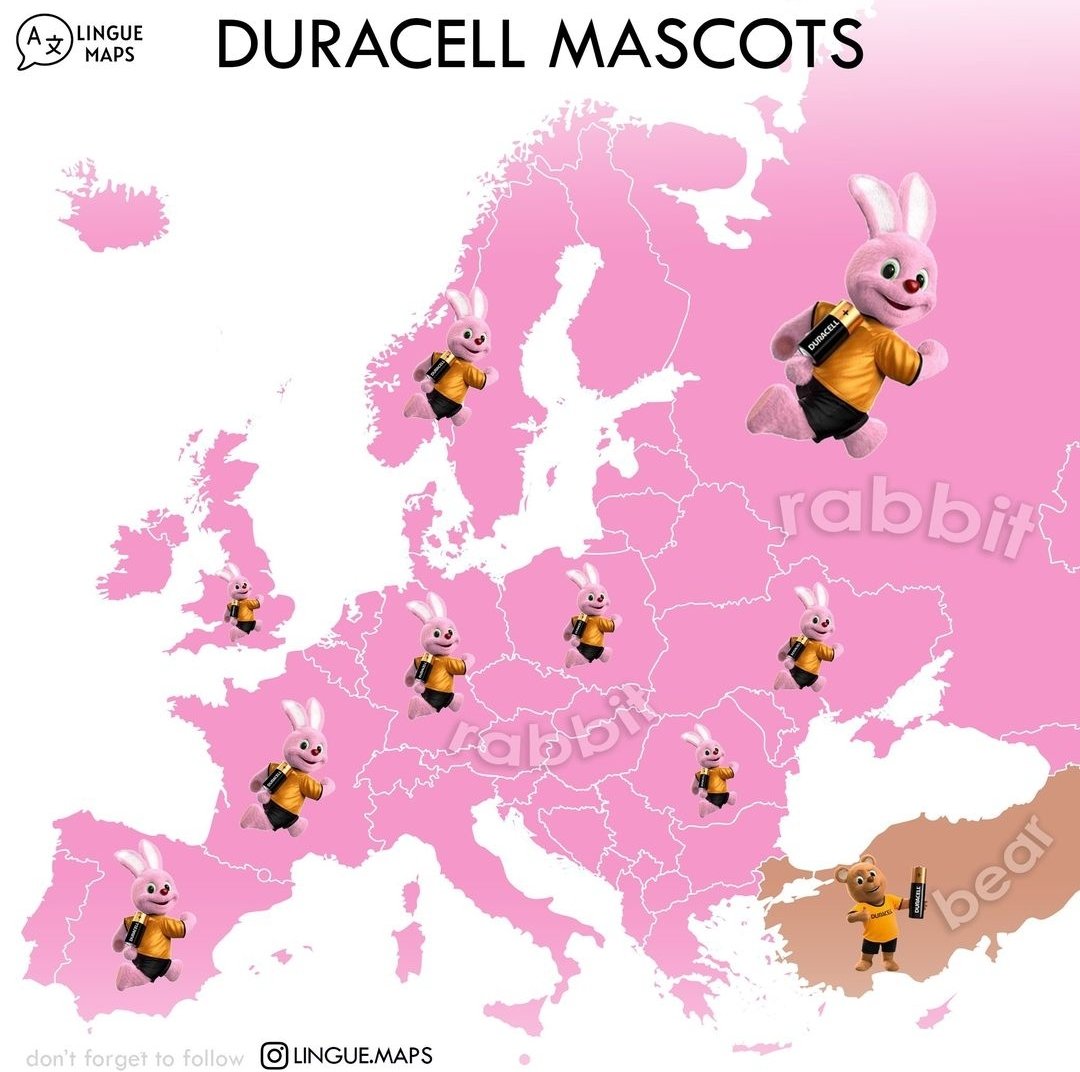 Duracell mascots by country 🐰🐻