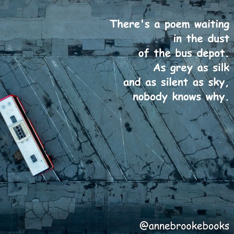 Bus Depot Song is from my poetry collection Flowers and Fabric. Because I'm sure there's poetry everywhere if we look hard enough, even in bus depots! Find out more here: mybook.to/FlowersFabric #poetry #poetrycollection