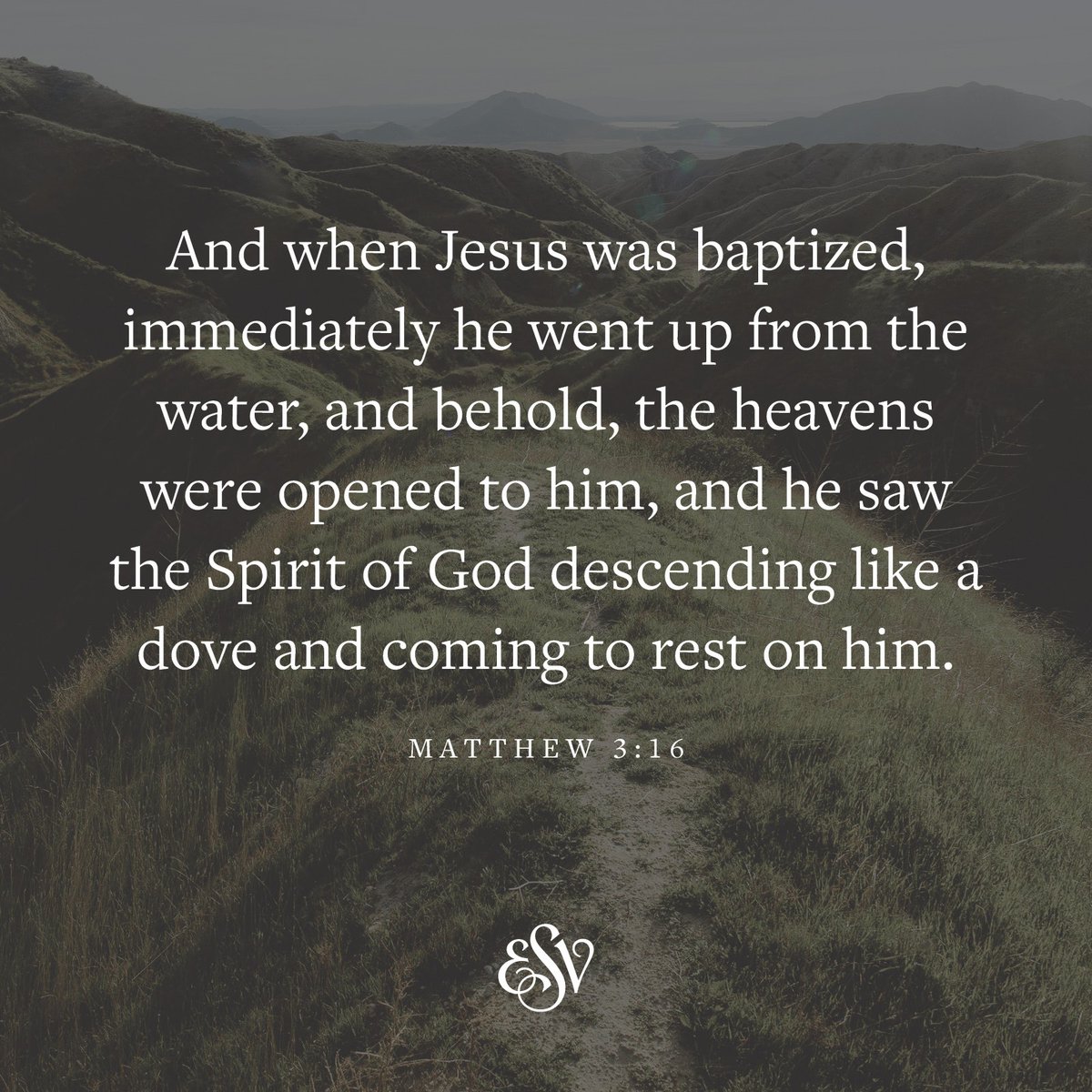 And when Jesus was baptized, immediately he went up from the water, and behold, the heavens were opened to him, and he saw the Spirit of God descending like a dove and coming to rest on him. 
—Matthew 3:16 ESV.org 

#Verseoftheday #ESV #Scripturememoryverse #Bible